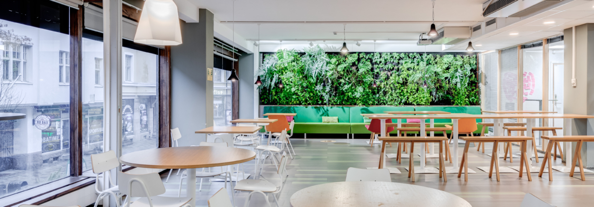 Osaamistehdas Kokoustilat - Kokoustila Punavuori - Kokoustila Roban Rumpu, Valoisa etätyötila