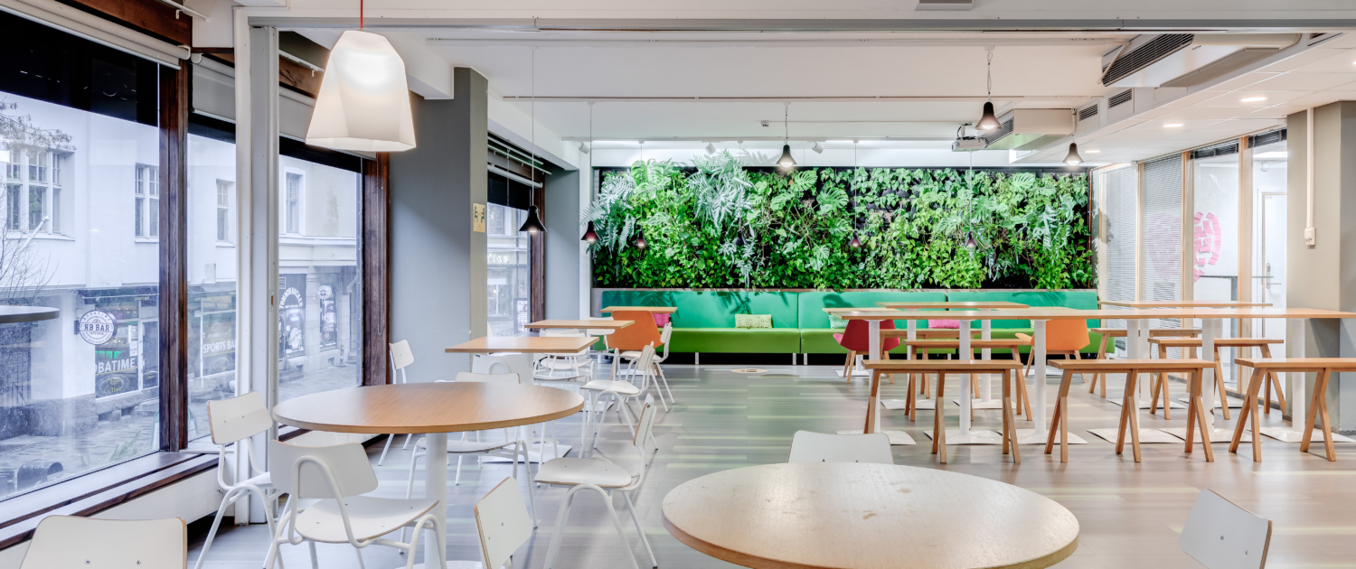 Osaamistehdas Kokoustilat - Kokoustila Punavuori - Kokoustila Roban Rumpu, Valoisa etätyötila